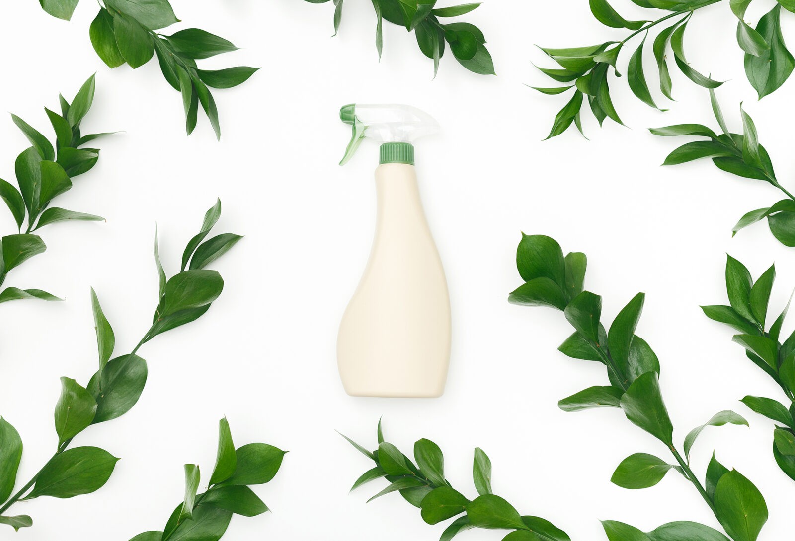 Bio spray bottle with leaves and natural components. Green Clean Revolution