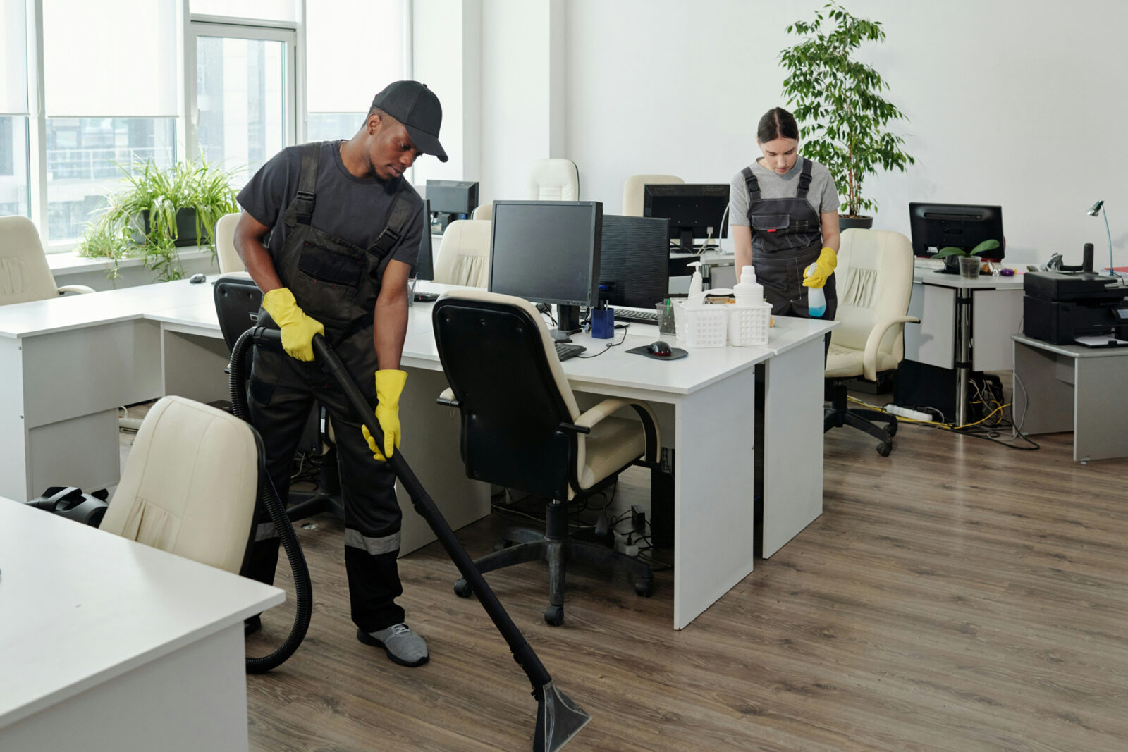 Cleaning Collaboration